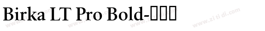 Birka LT Pro Bold字体转换